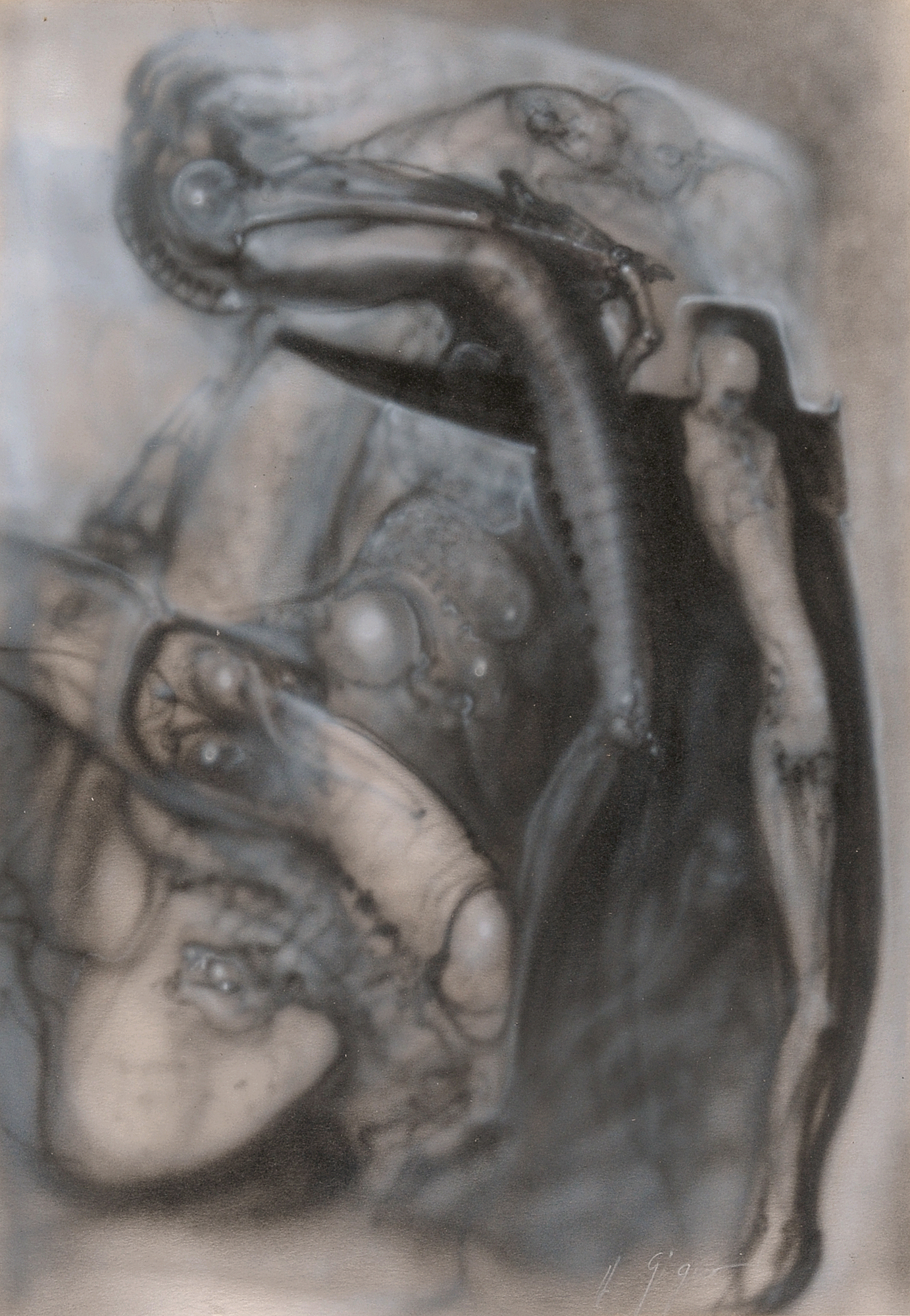HR Giger, Mordor I