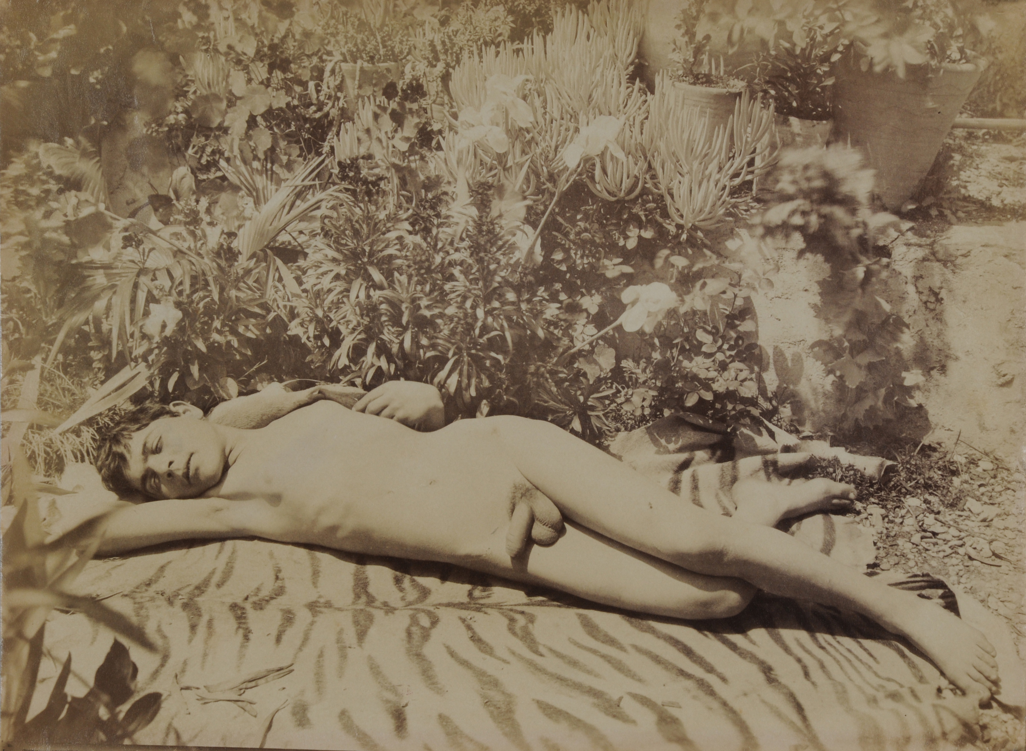 Wilhelm von Gloeden, Schlafender Knabe auf Sizilien