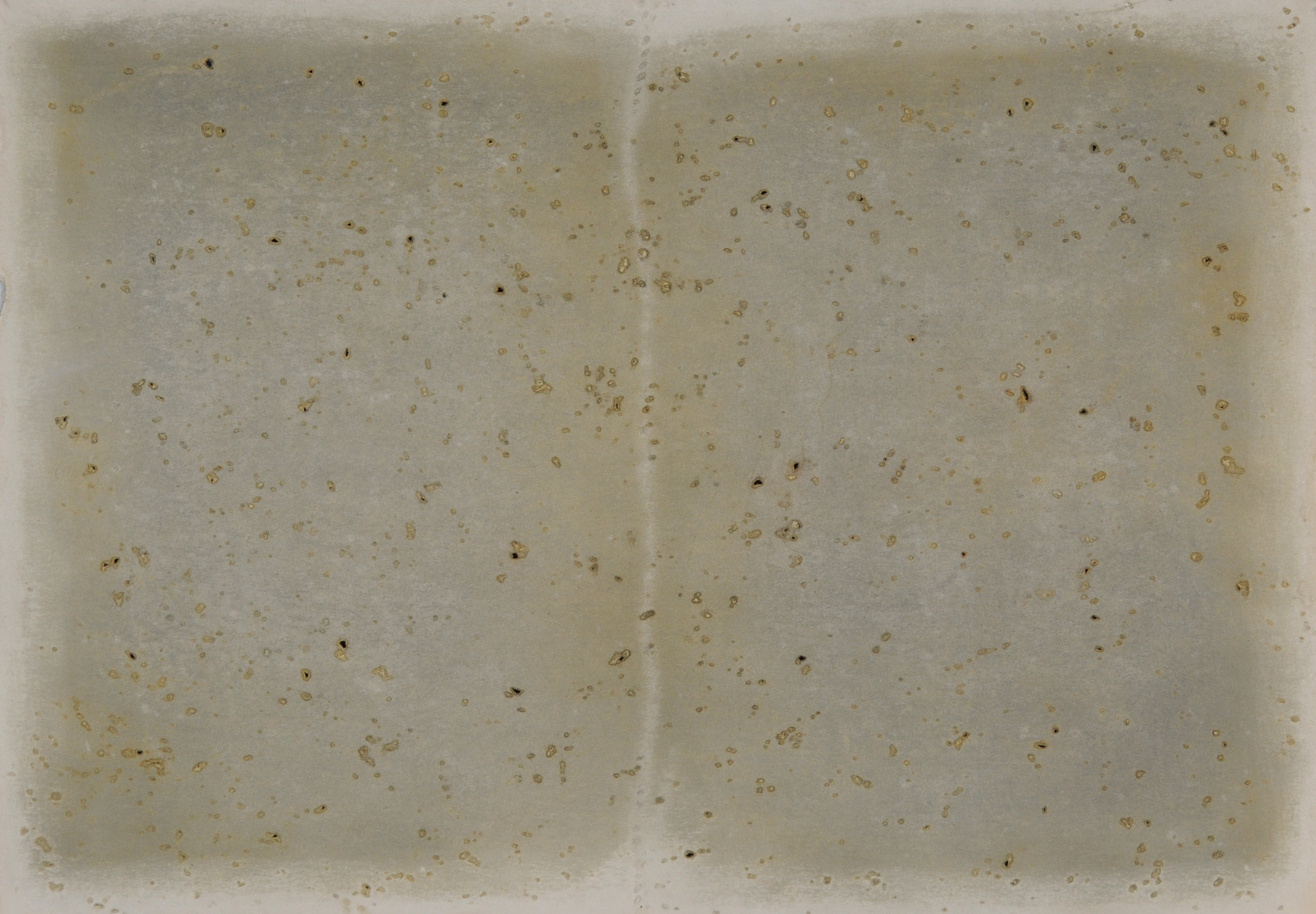 Michelle Stuart, 3 drawings: Pagosa Springs/Colorado, 1977; Fort Hill Ledger - Ohio, 1977; Tikal: Stela 20