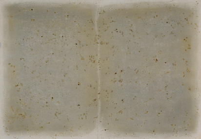 3 drawings: Pagosa Springs/Colorado, 1977; Fort Hill Ledger - Ohio, 1977; Tikal: Stela 20