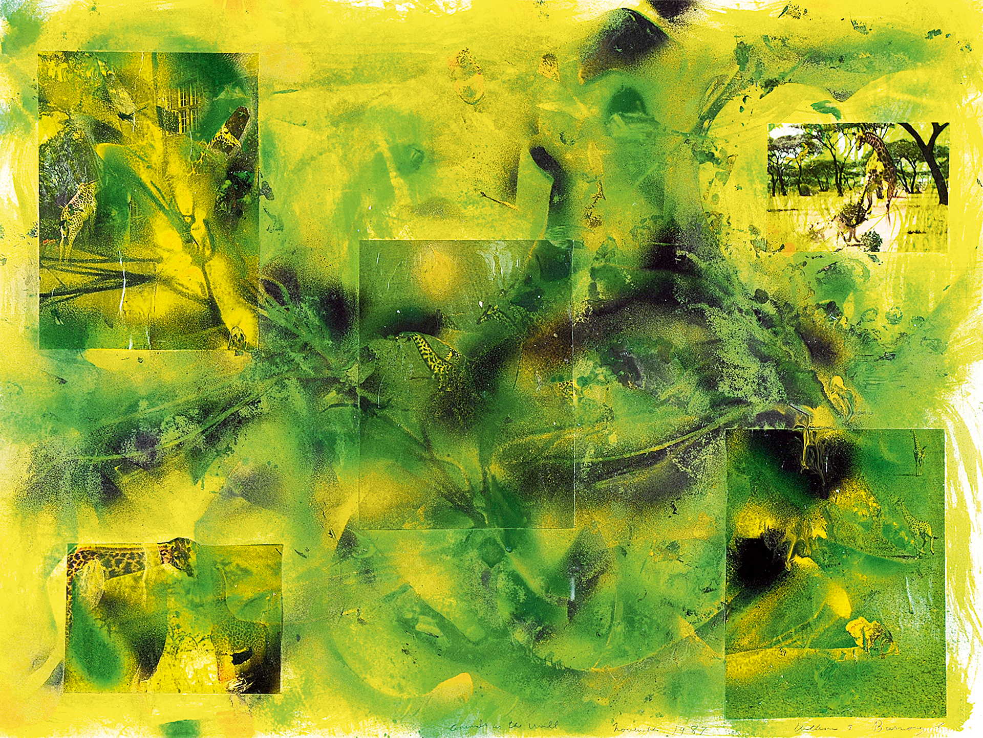 William Seward Burroughs, Recto/verso: Animals in the Wall