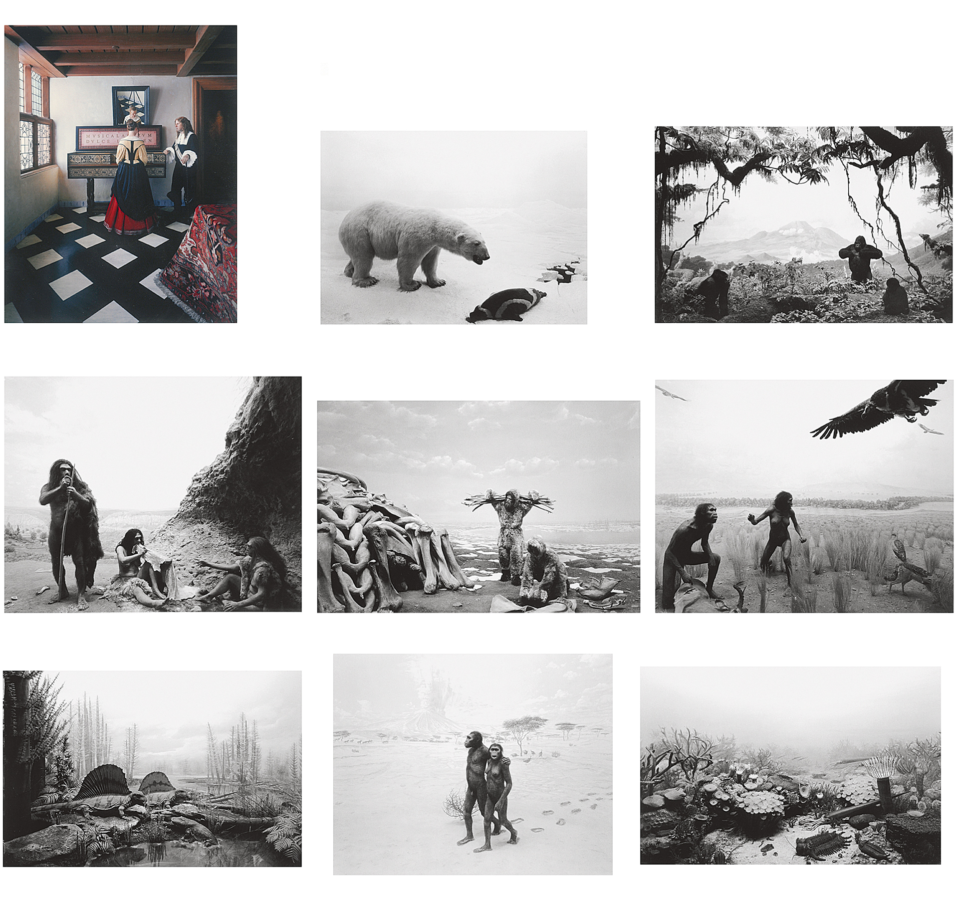Hiroshi Sugimoto, The Origins of Love: The Music Lession; Devonian Period; Earliest Human Relatives; Permian Land; Homo Ergaster; Cro-Magnon; Neanderthal; Gorilla and Polar Bear