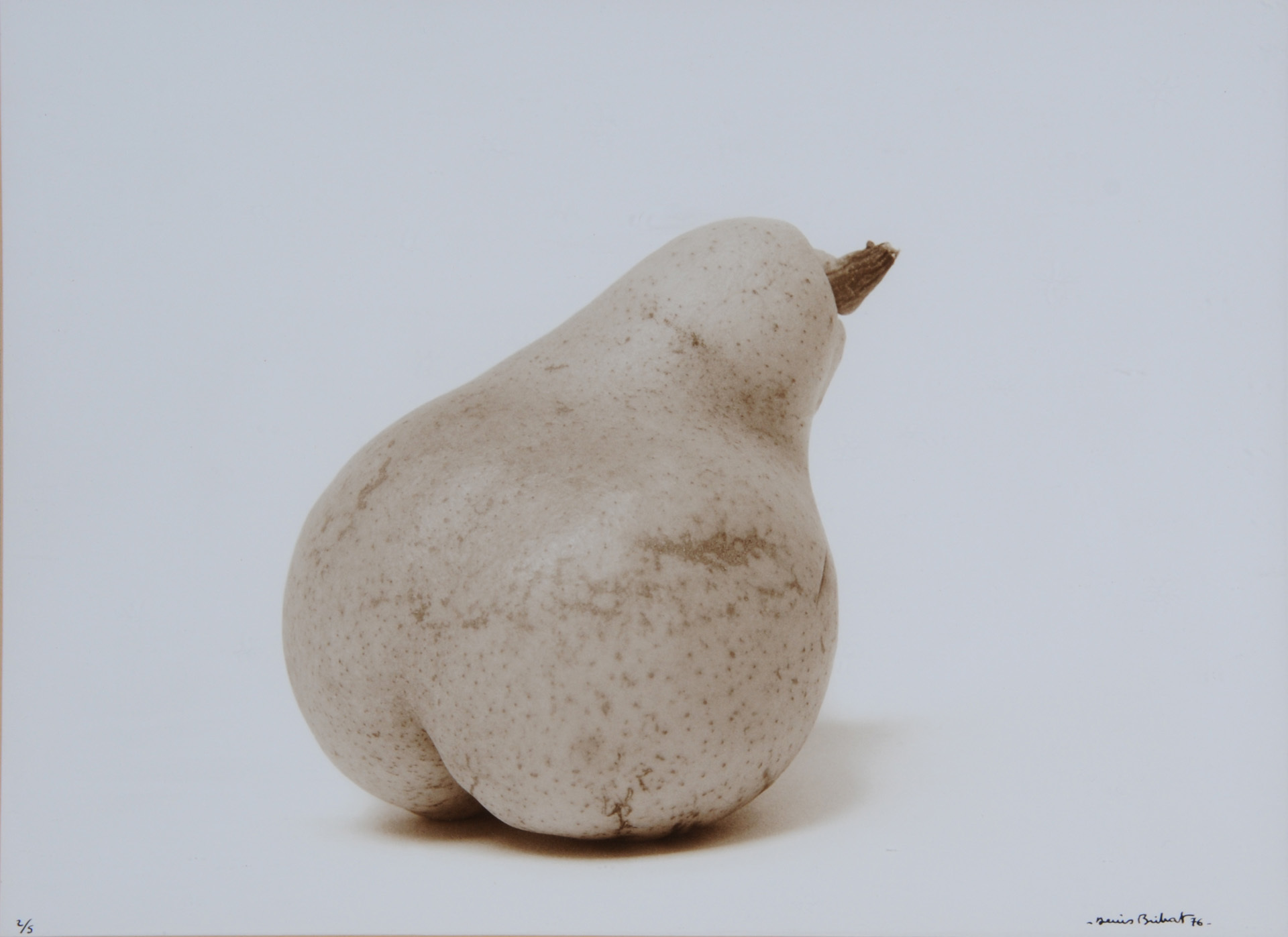 Denis Brihat, Poire William