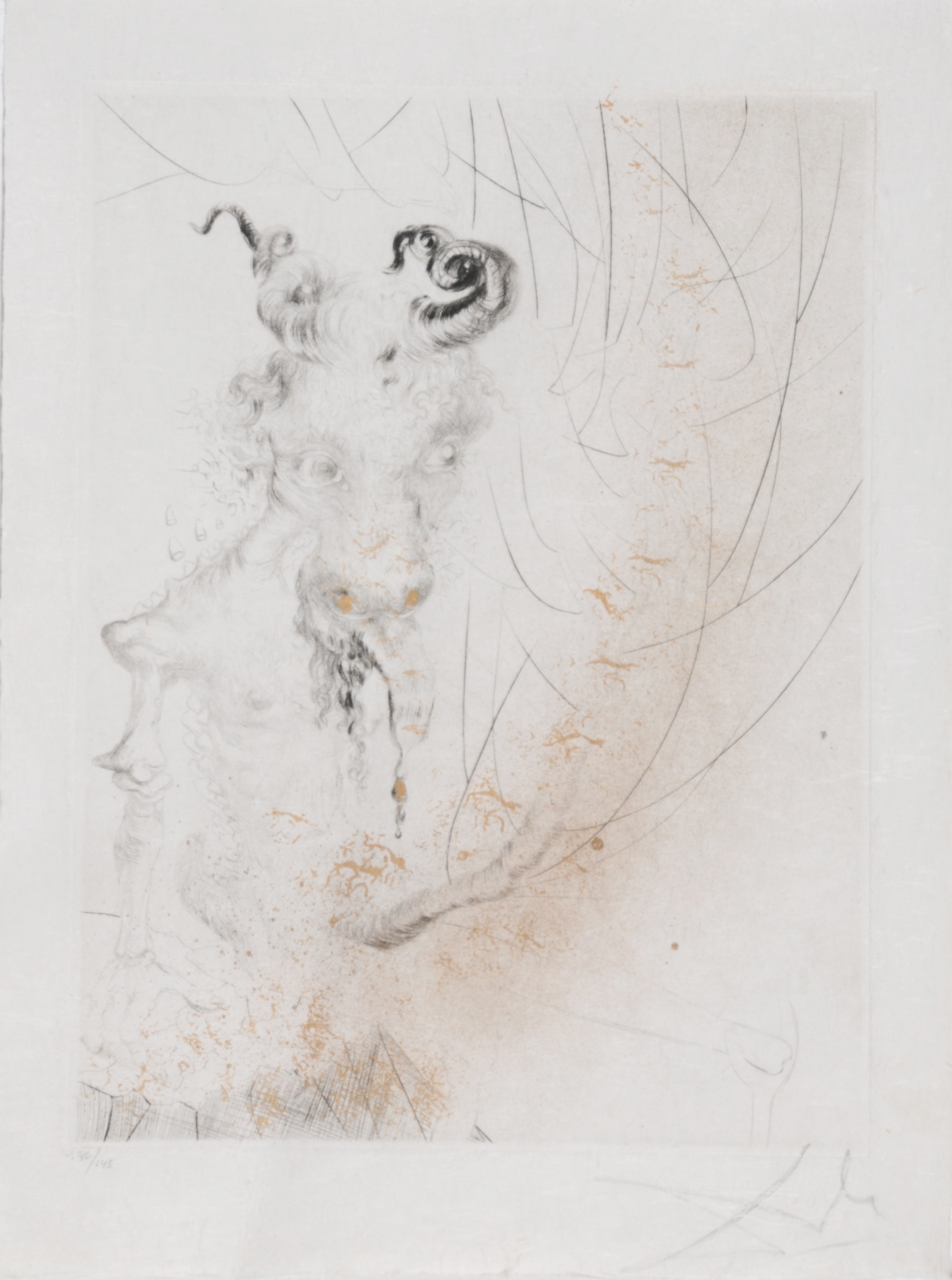 Salvador Dalí, Tête de veau, aus "Faust (La Nuit de Walpurgis)"