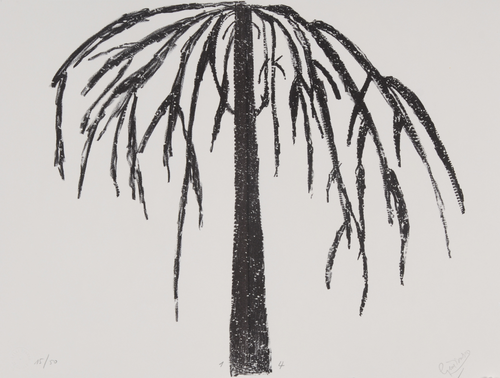 Eugène Ionesco, Portfolio. Le Blanc et Le Noir