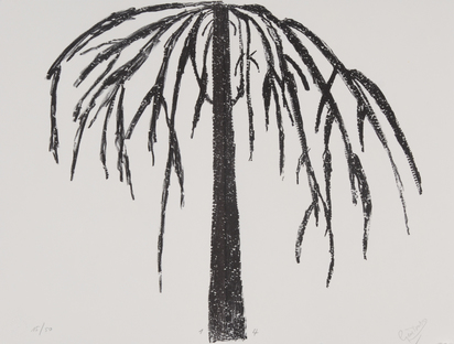 Portfolio. Le Blanc et Le Noir