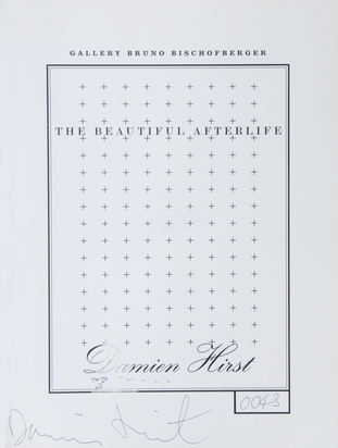 Buch. The Beautiful Afterlife