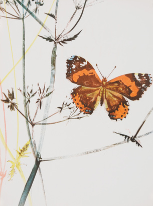 Buch. Histoires naturelles