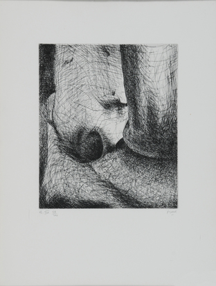 Elephant Skull, Plate XX