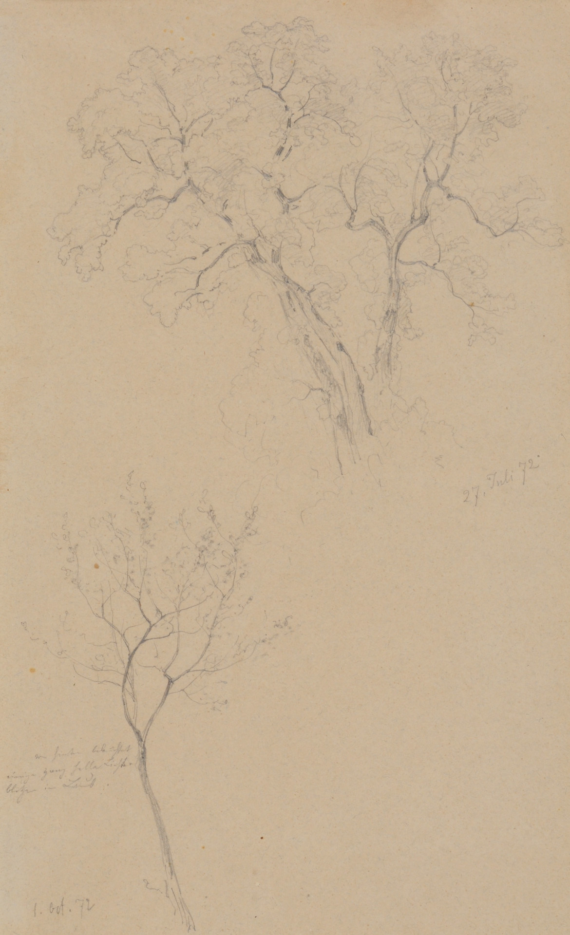 Robert Zünd, Baumstudie