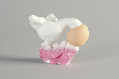 Bird Head in Egg
