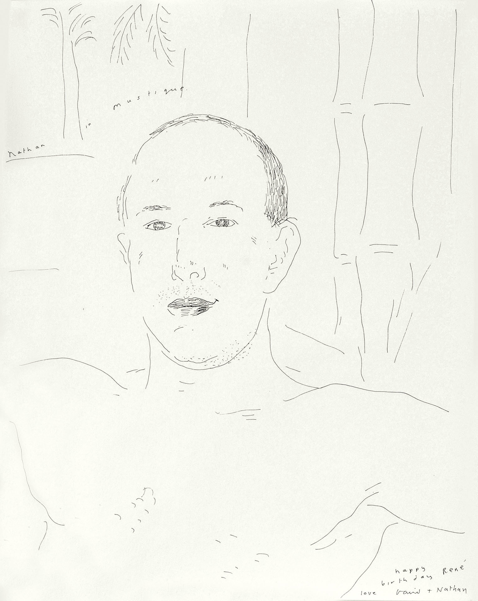 David Hockney, Nathan in Mustique