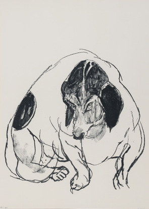 Zita