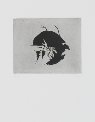 Schattenbild, from "Rietveld-Mappe"