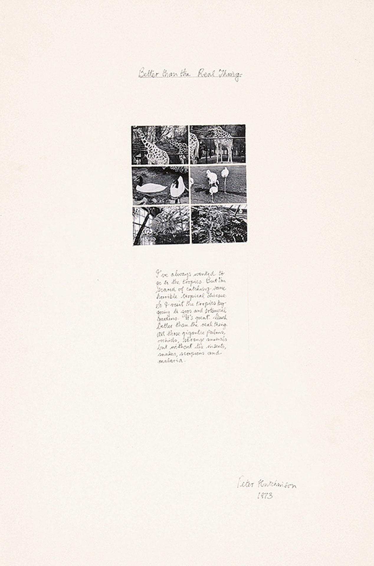 Peter Arthur Hutchinson, 4 Photo works: The Visit, 1972; Creating Peanuts, 1973; Better Than the Real Thing, 1973; Tall Buffalo Story