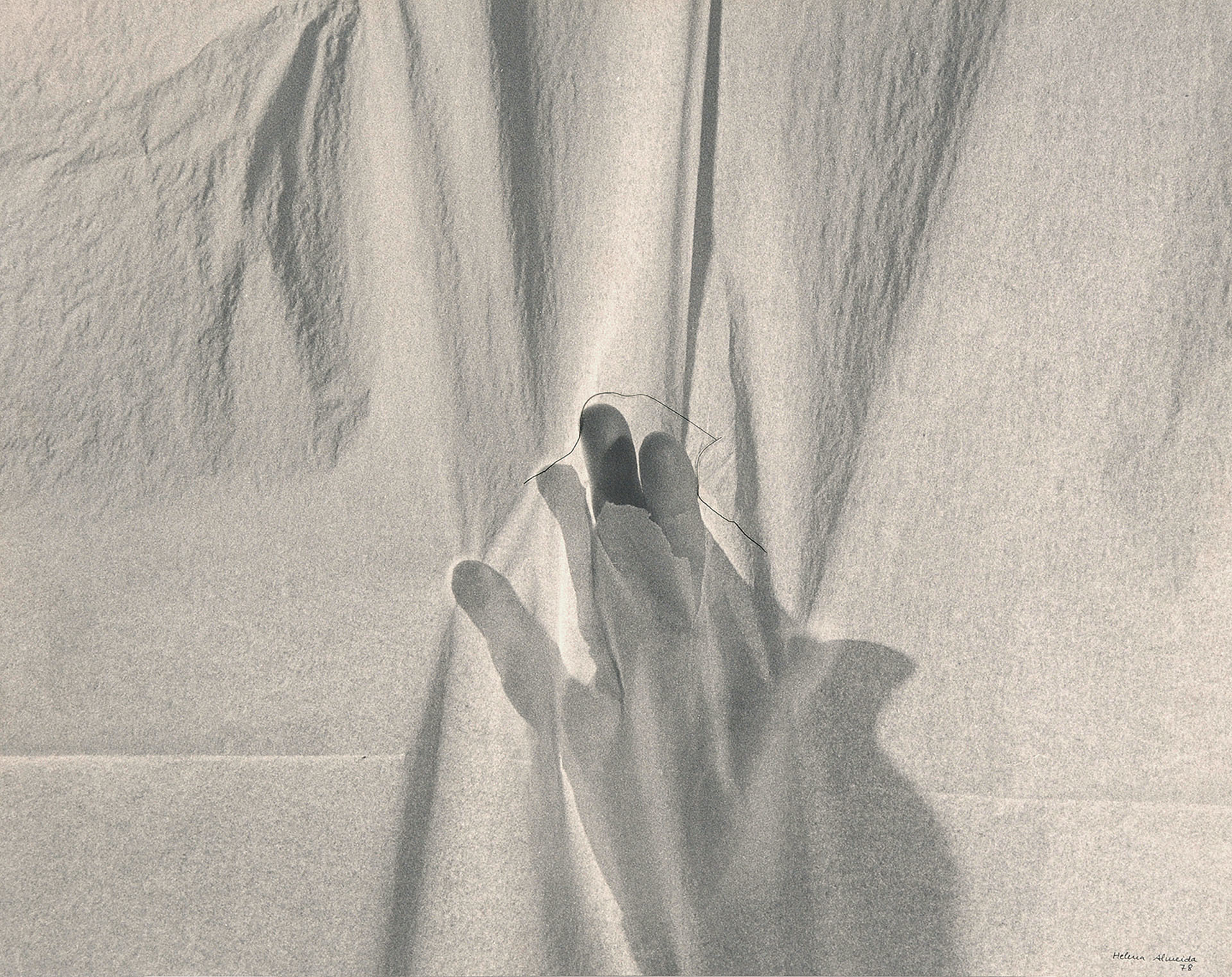 Helena Almeida, Work 36