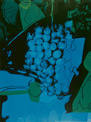 Grapes (Special Edition)