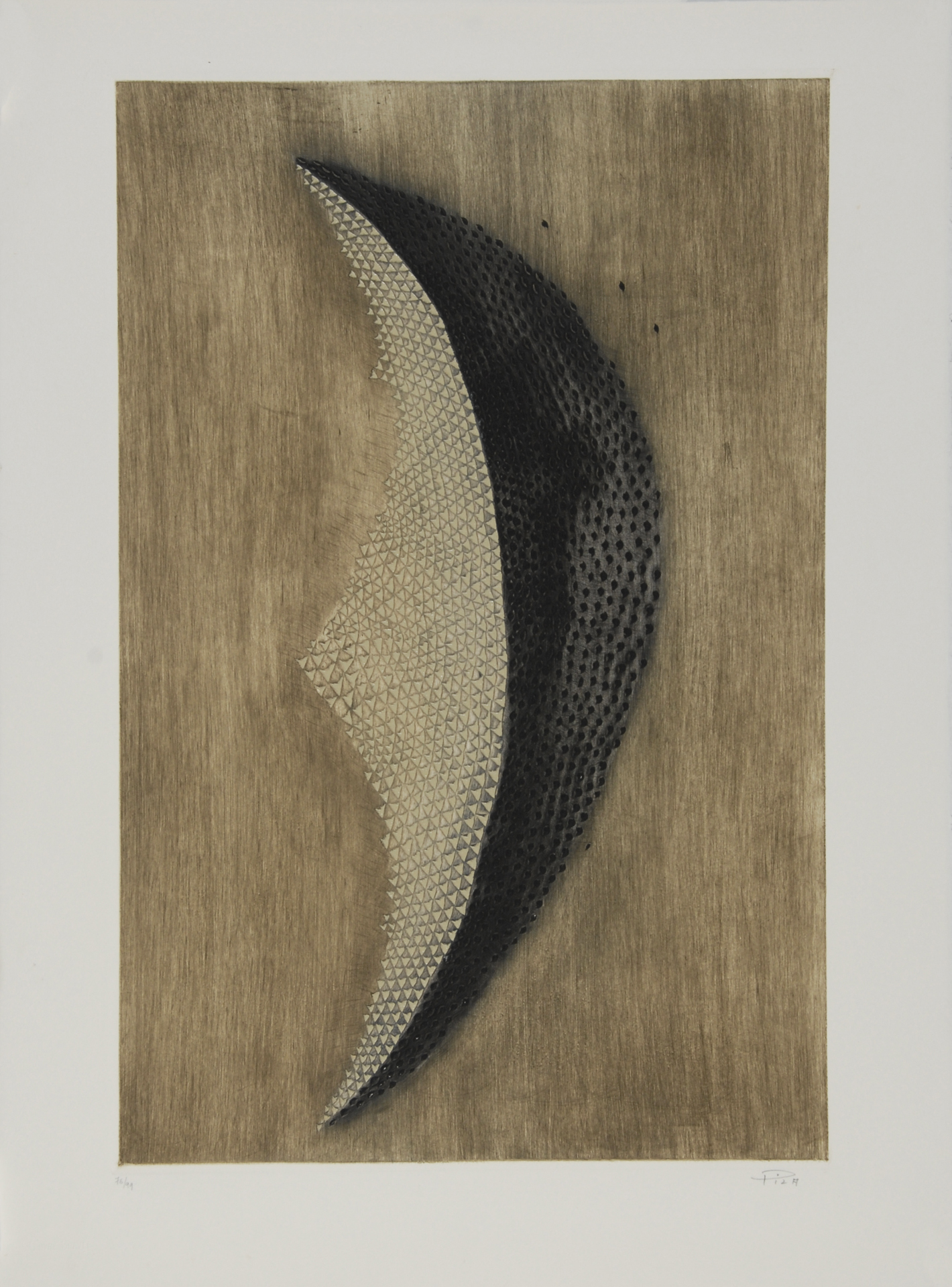 Arthur Luiz Piza, L'ombre