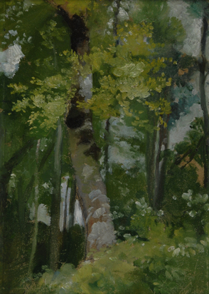 Waldlichtung