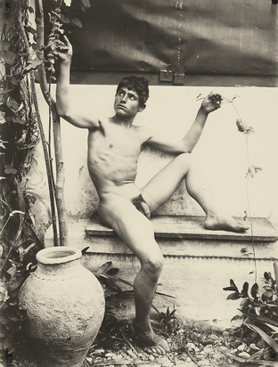 4 Fotografien: Stehender Knabenakt (2); Sitzender Knabenakt, 1890er Jahre; Knabe mit fliegendem Fisch, 1890er Jahre