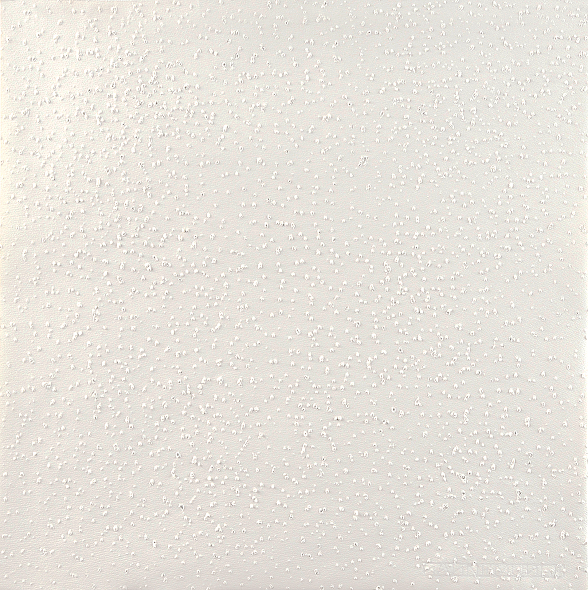 Günther Uecker, Portfolio. Zum Schweigen der Schrift oder die Sprachlosigkeit