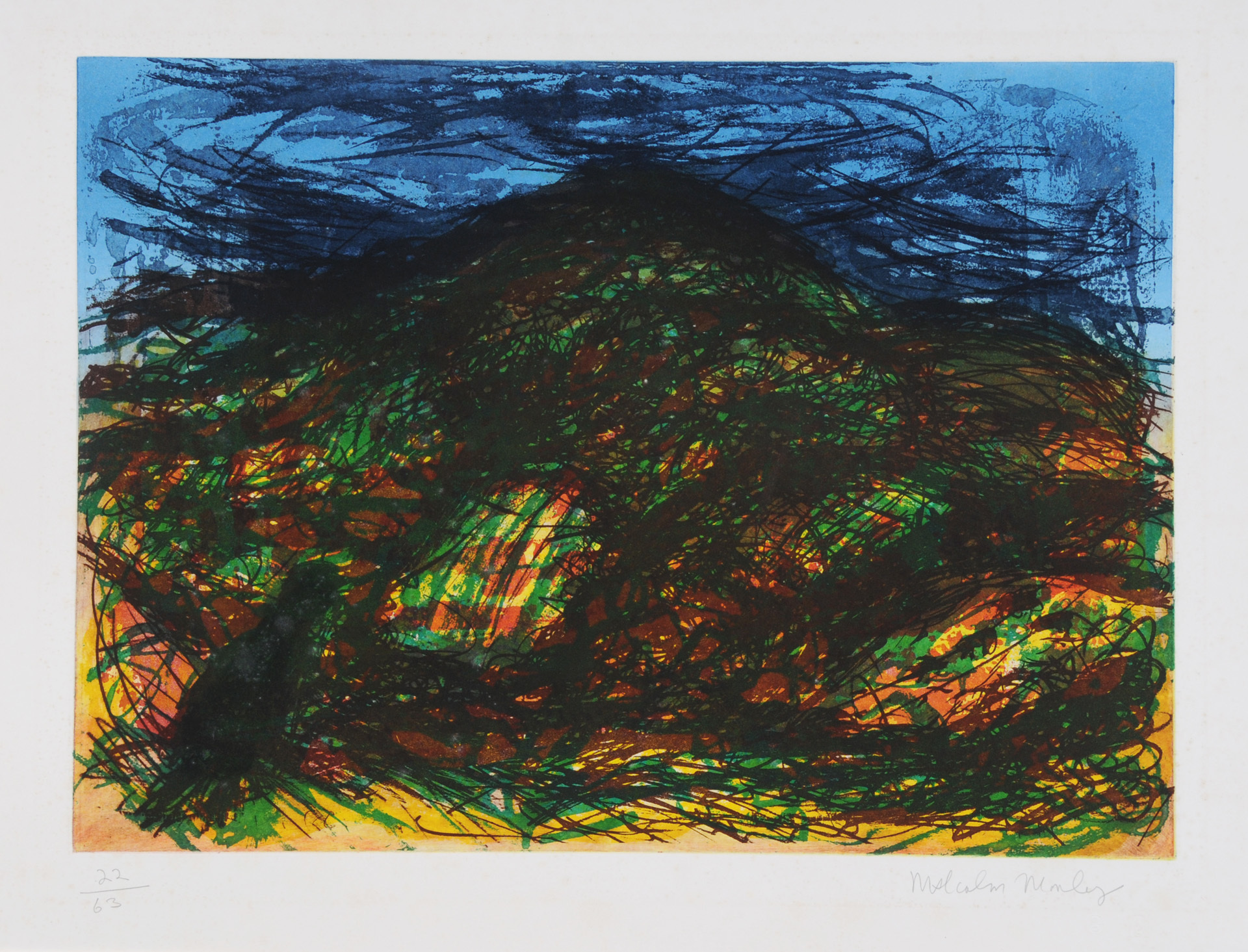 Malcolm Morley, Devon Landscape