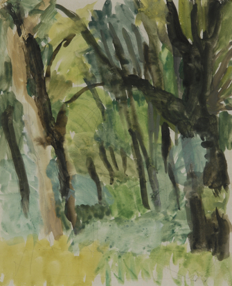 Waldinneres