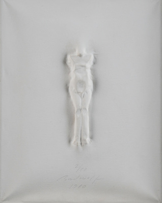 Torso
