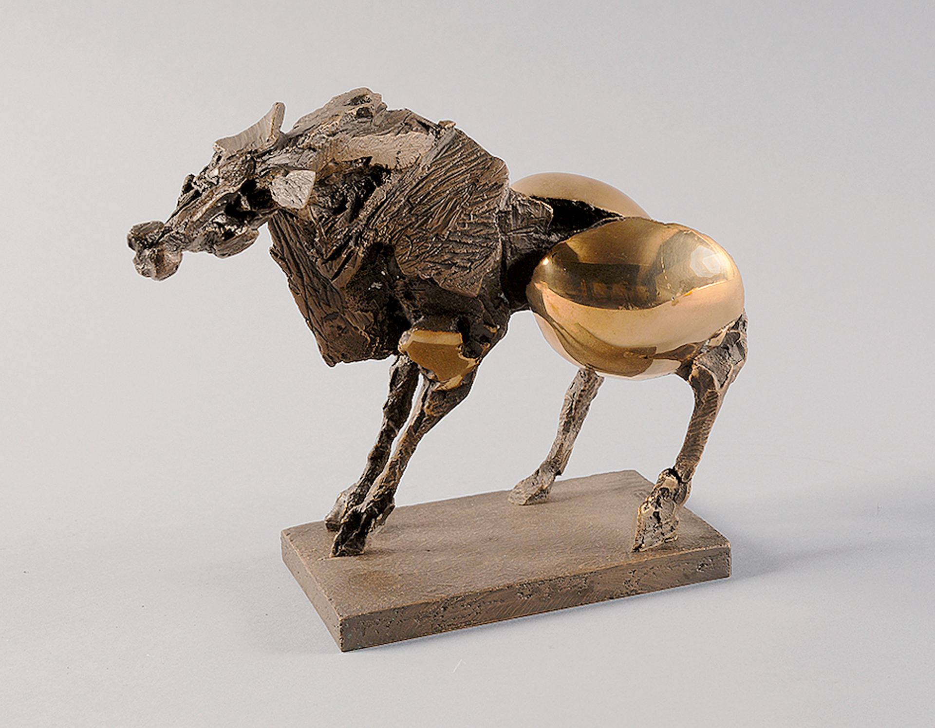 Nag Arnoldi, Cavallo
