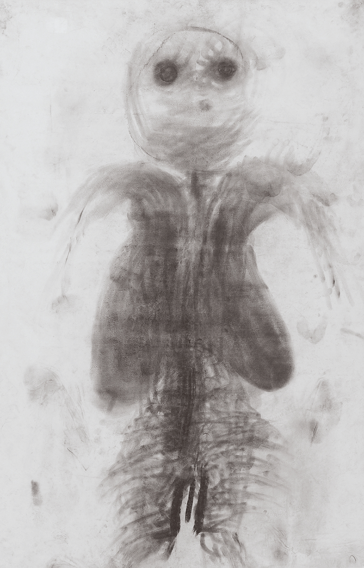 Miriam Cahn, Untitled