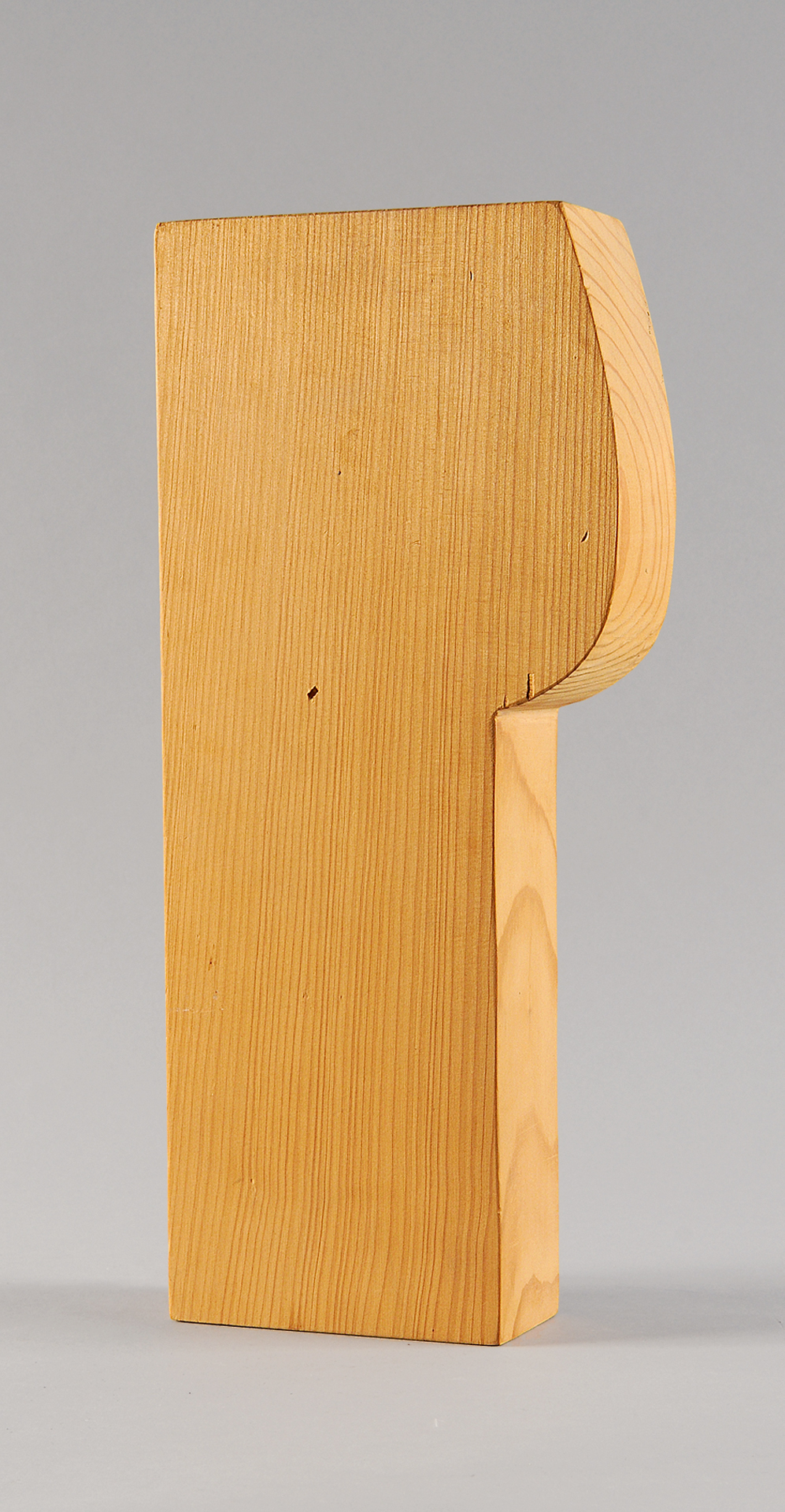 Matias Spescha, Untitled