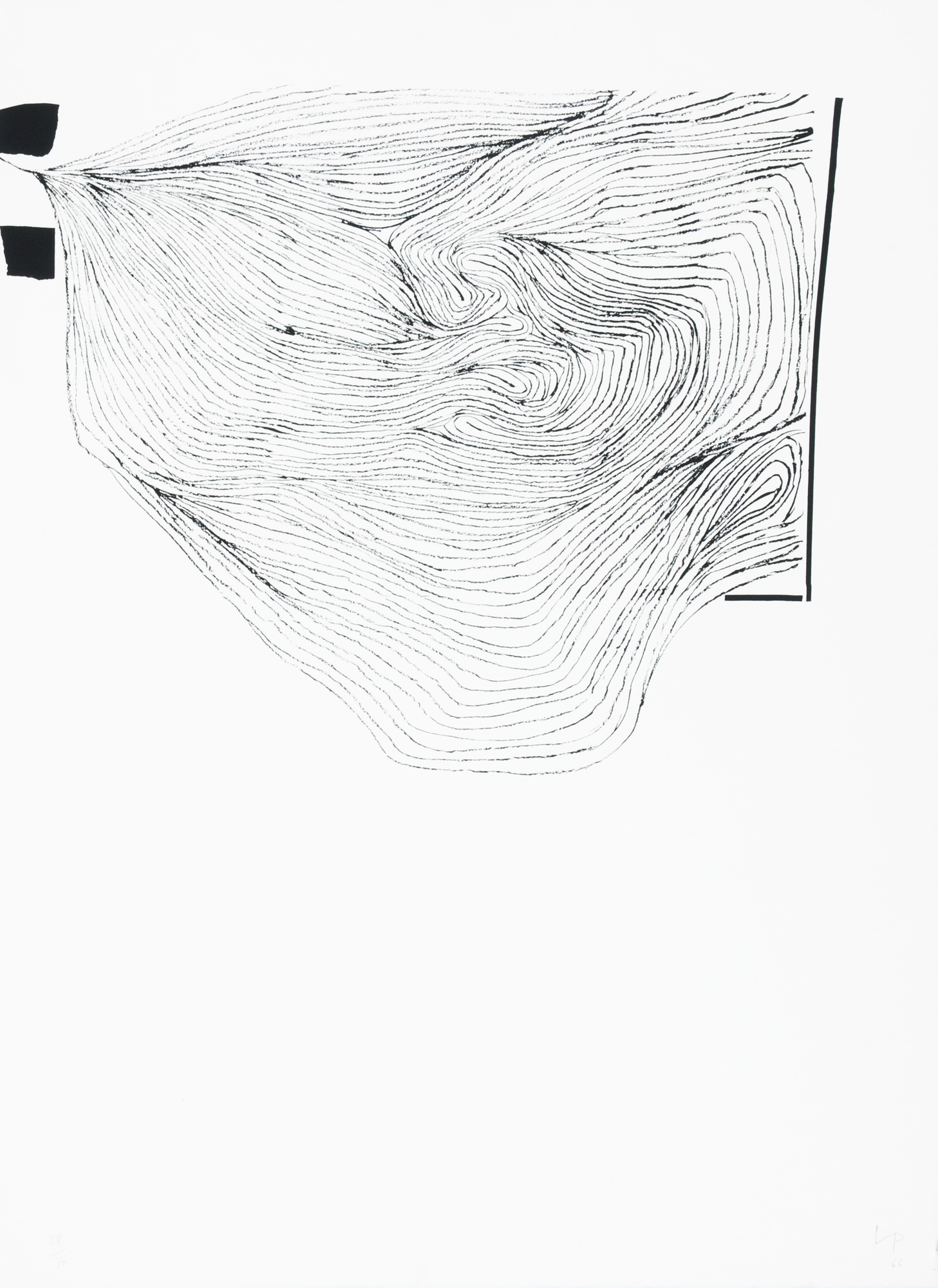 Victor Pasmore, Variation of Points of Contact No. 9