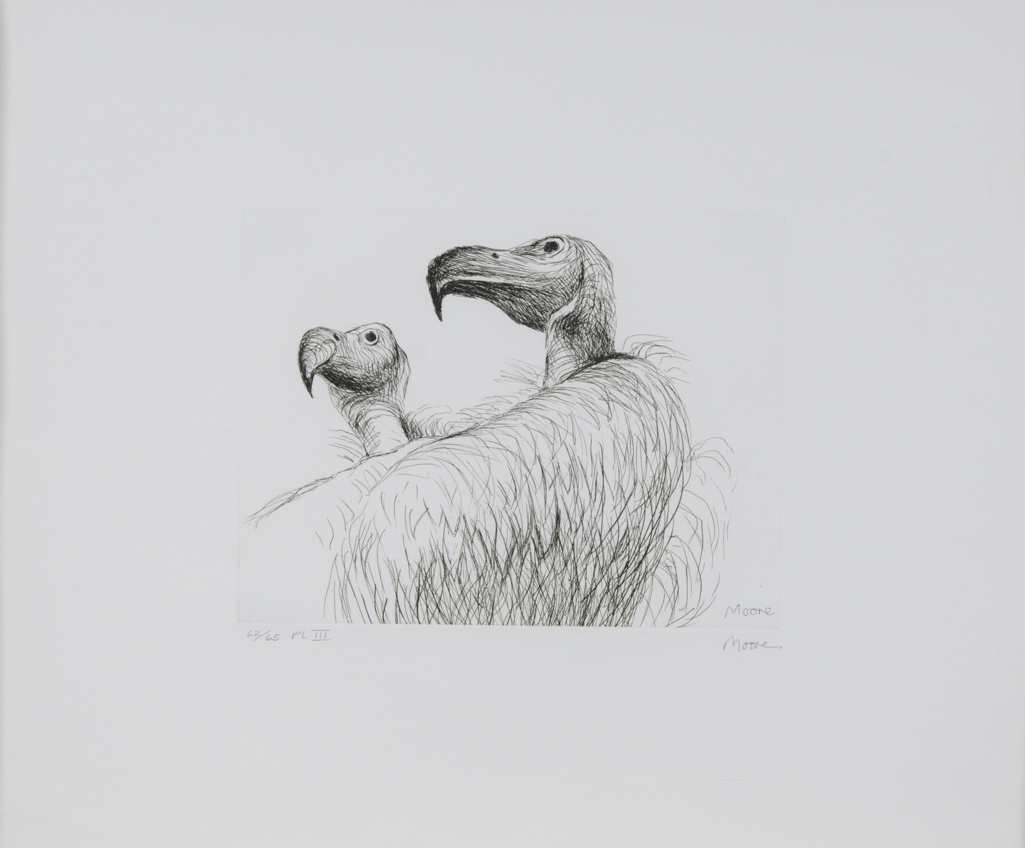 Henry Moore, Vultures, from "Animals in the Zoo"