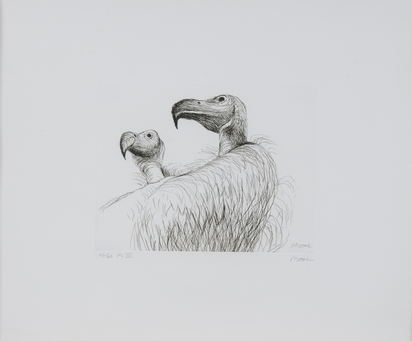 Vultures, from "Animals in the Zoo"