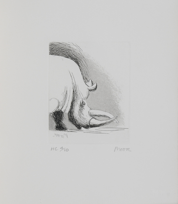 Rhinoceros's Head