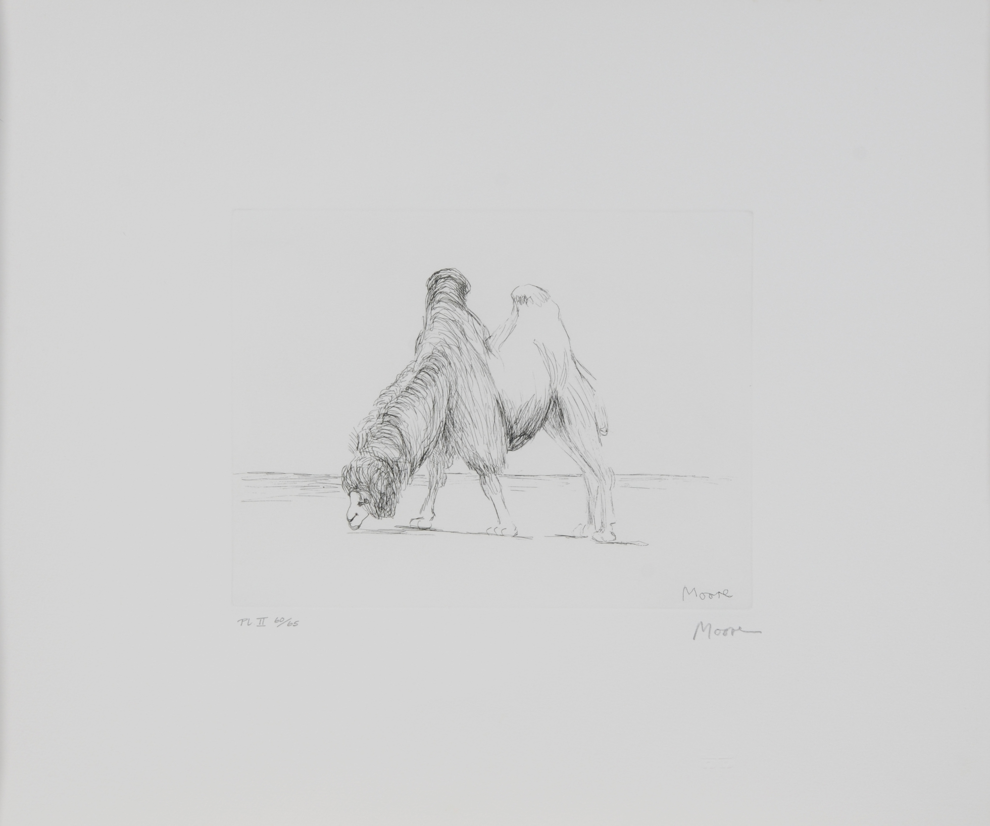 Henry Moore, Dromedary, from "Animals in the Zoo"