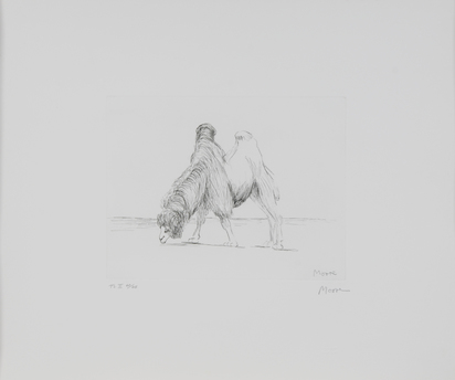 Dromedary, from "Animals in the Zoo"