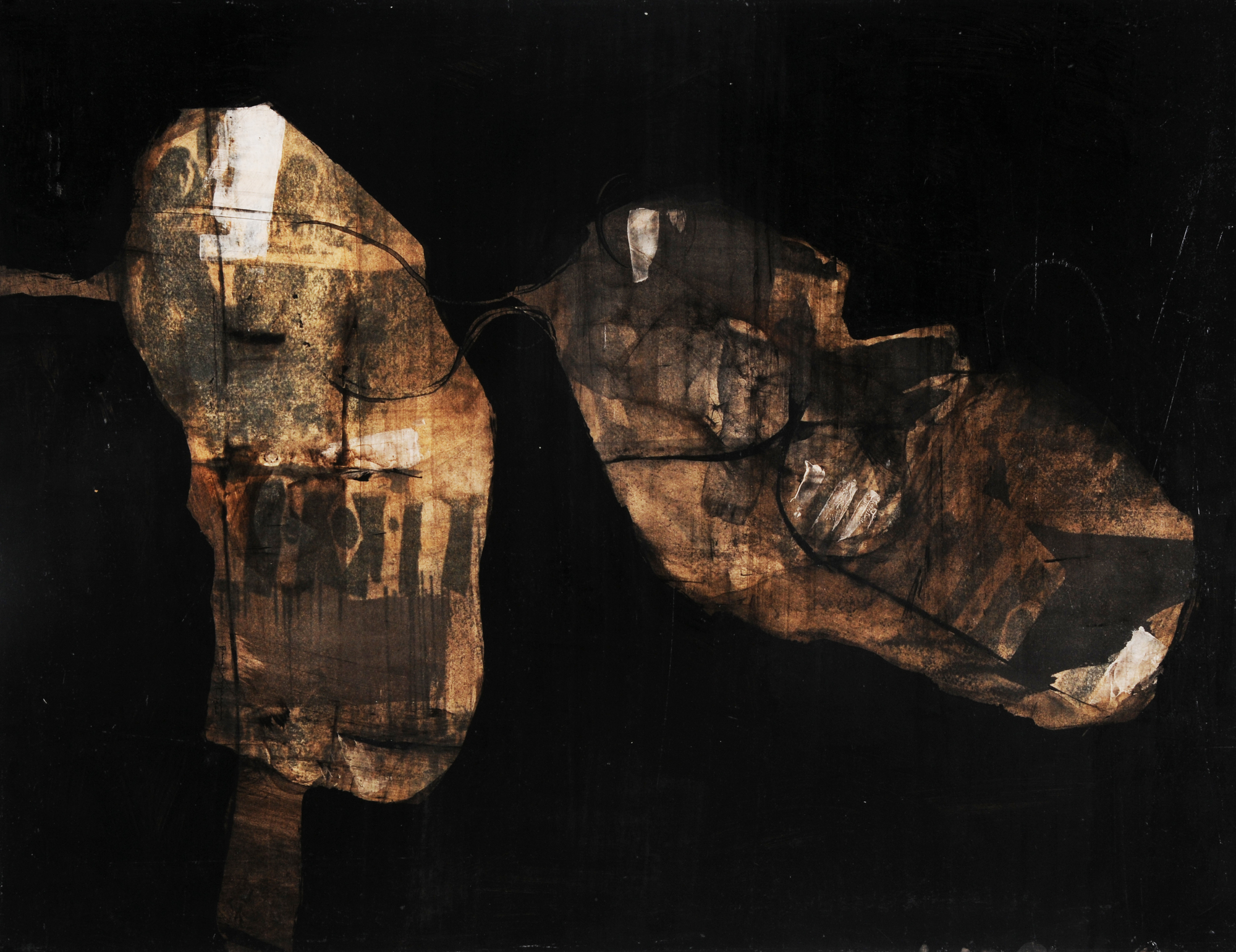 Enrique Brinkmann, Arquiptero Sonambula
