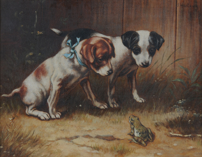 Zwei Hunde und ein neugieriger Frosch