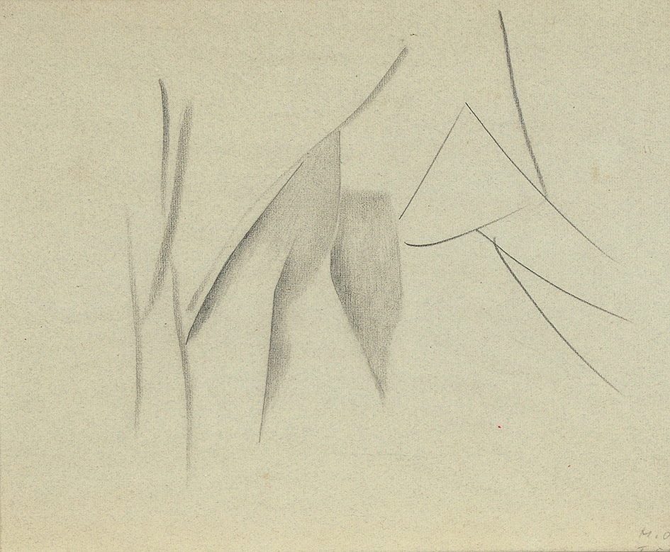 Meret Oppenheim, Vogel