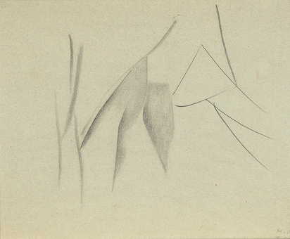 Vogel