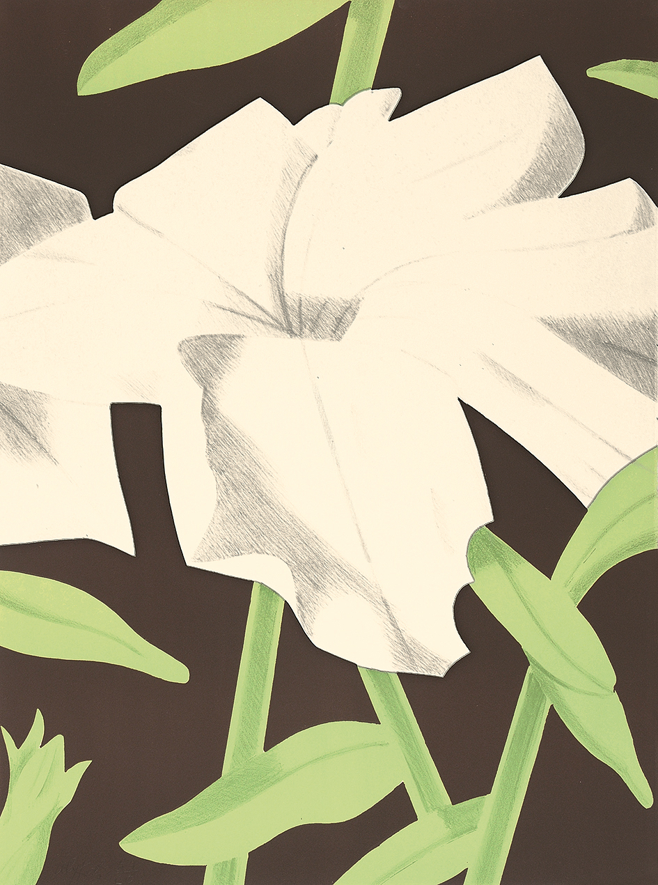Alex Katz, White Petunia