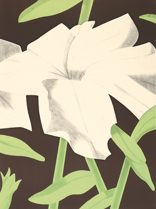 White Petunia
