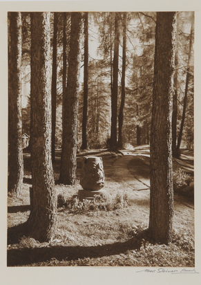 Waldinneres