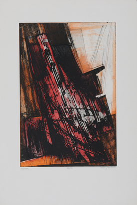 Portfolio. 
12 gravures de Terry Haass