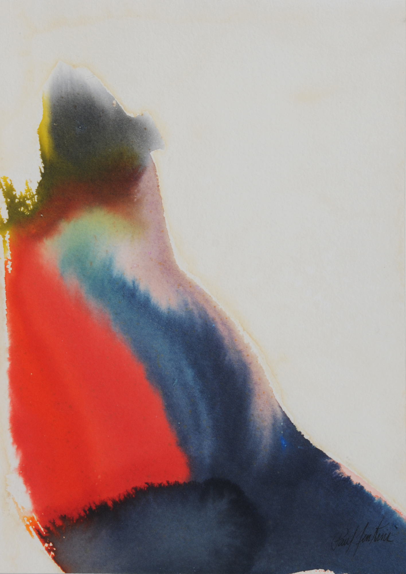 Paul Jenkins, Phenomena to Votress