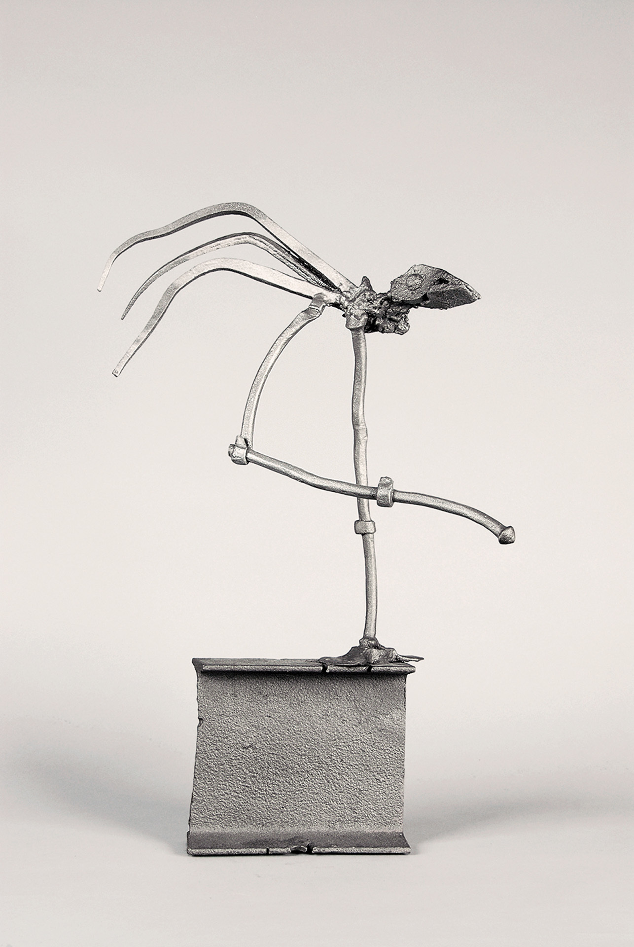 Silvio Mattioli, Vogel