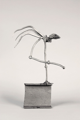 Vogel