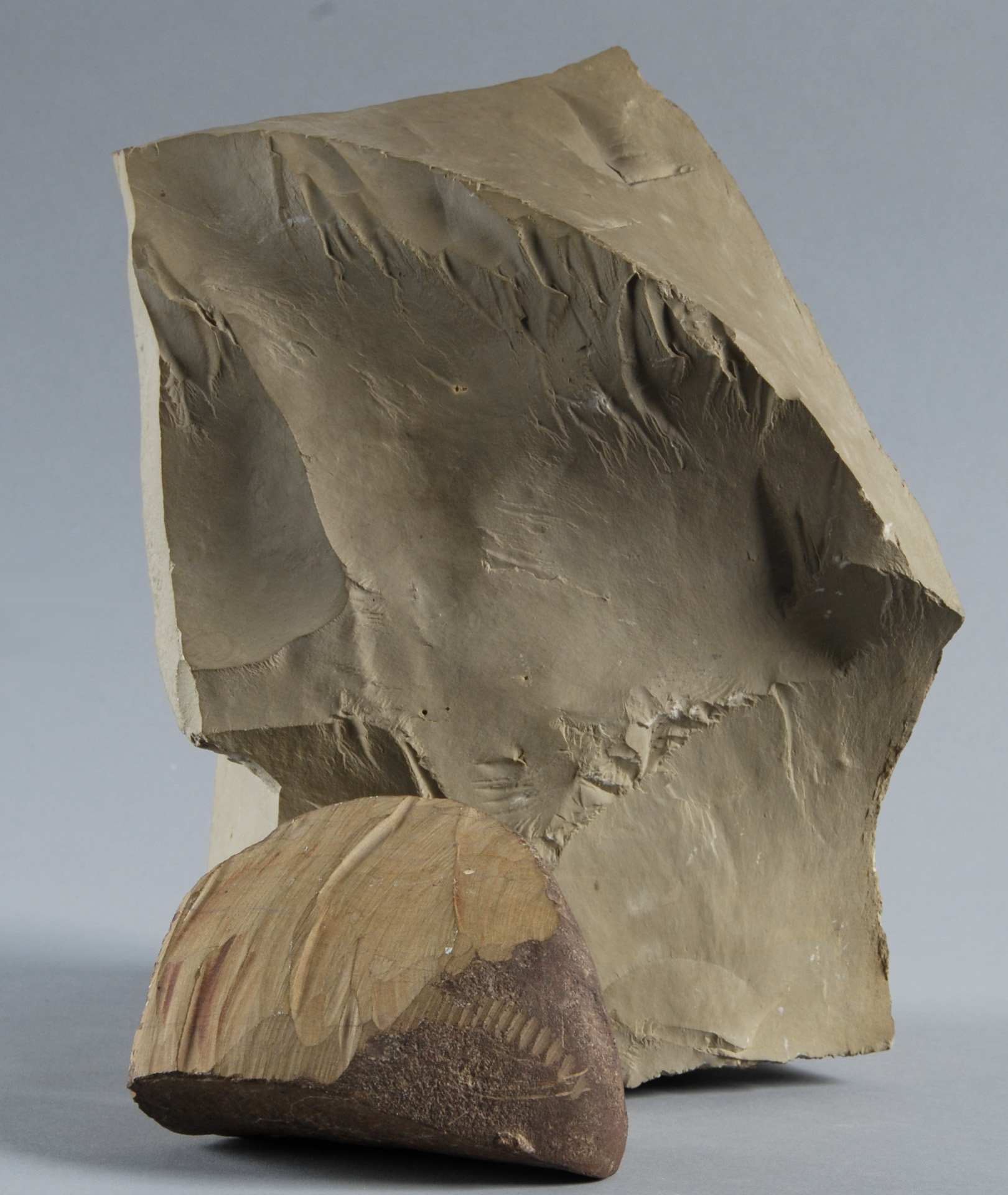 Lois Weinberger, Tongue