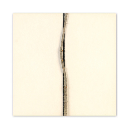 Geometree n° 104 A (86016 A)